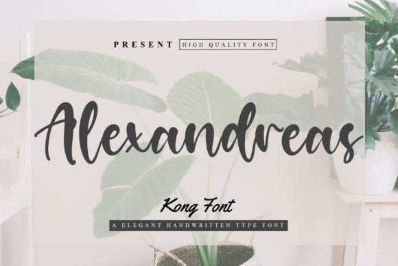 Alexandreas Font for a Polished Brand Identity