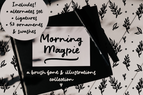 Morning Magpie Font for a Polished Brand Identity
