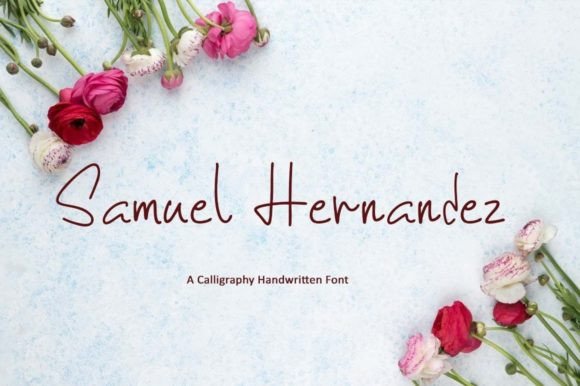 Samuel Hernandez Font for Modern Web Design Projects