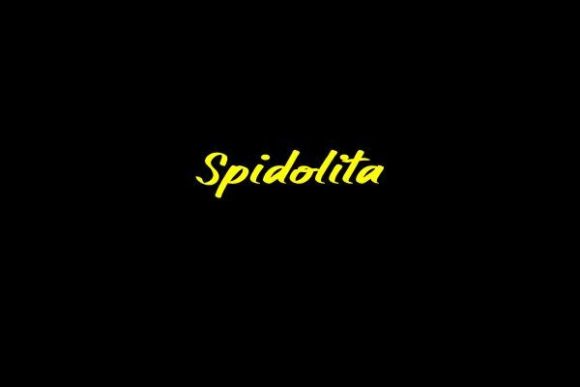 Spidolita Font: A Polished Script for Business Branding