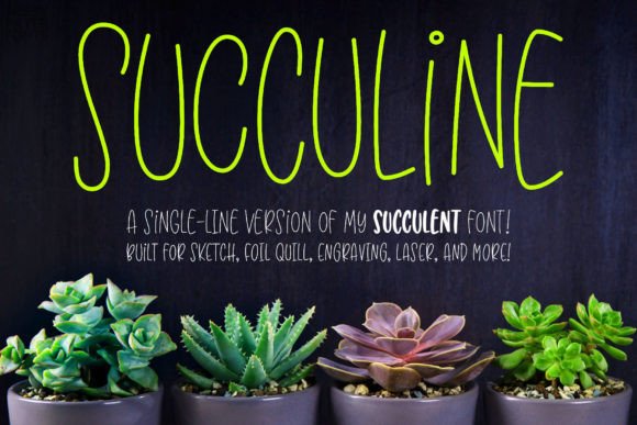 Succuline single Line Font for Branding and Design Projects
